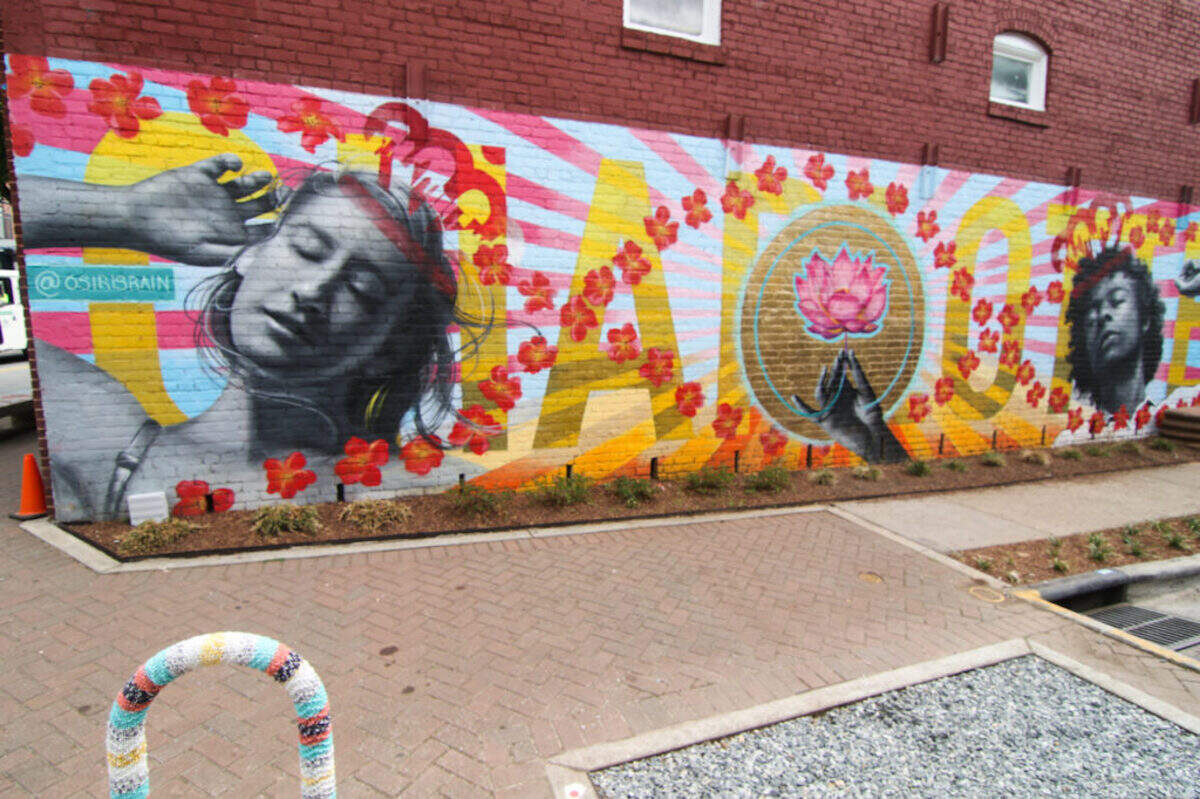 NoDa mural of lotus in Charlotte NC painted over in red
